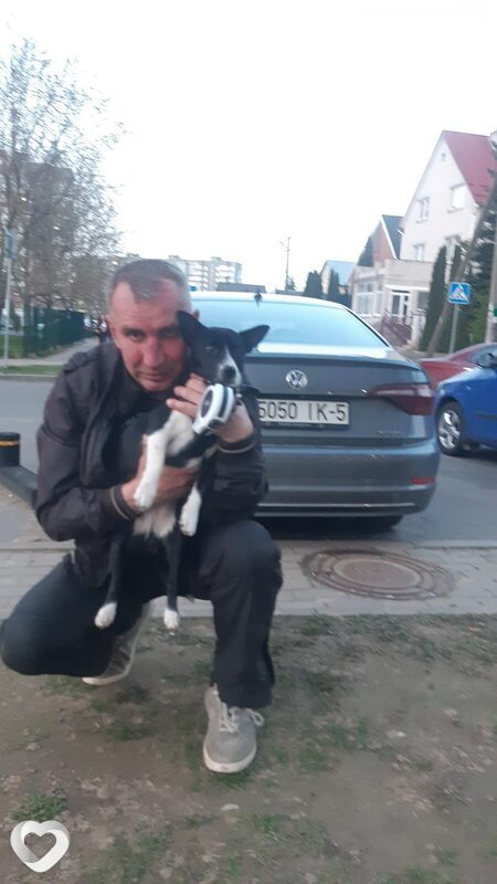Александр, 52, Минске — анкета №4200062