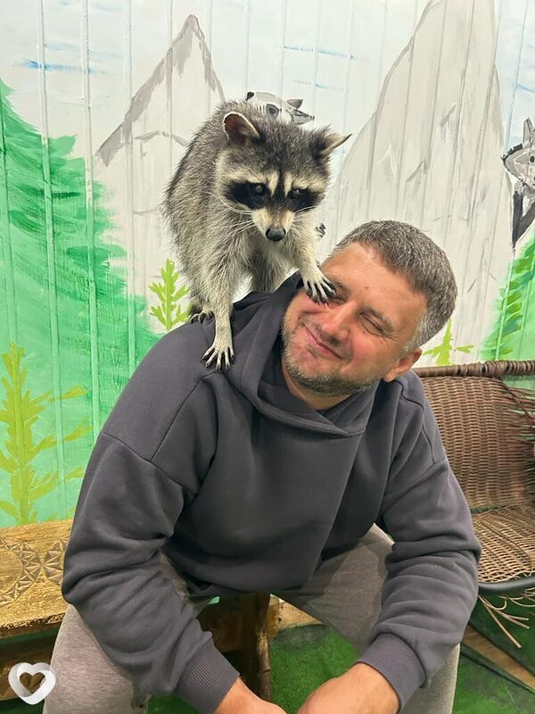 Хороший, Шарковщина