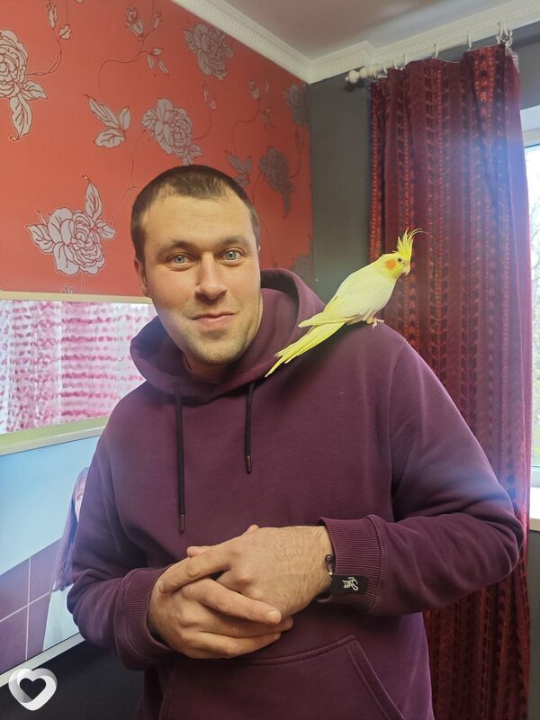 Richi, Лозовая