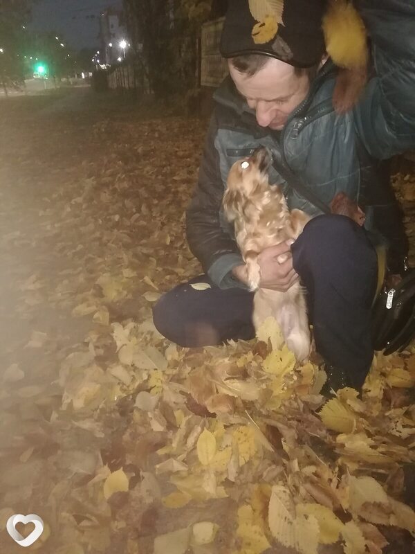 Дима, 49, Витебске — анкета №4211507