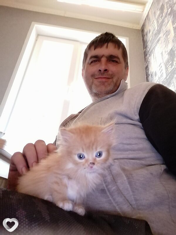 Василий, 44, Губкине — анкета №4215062