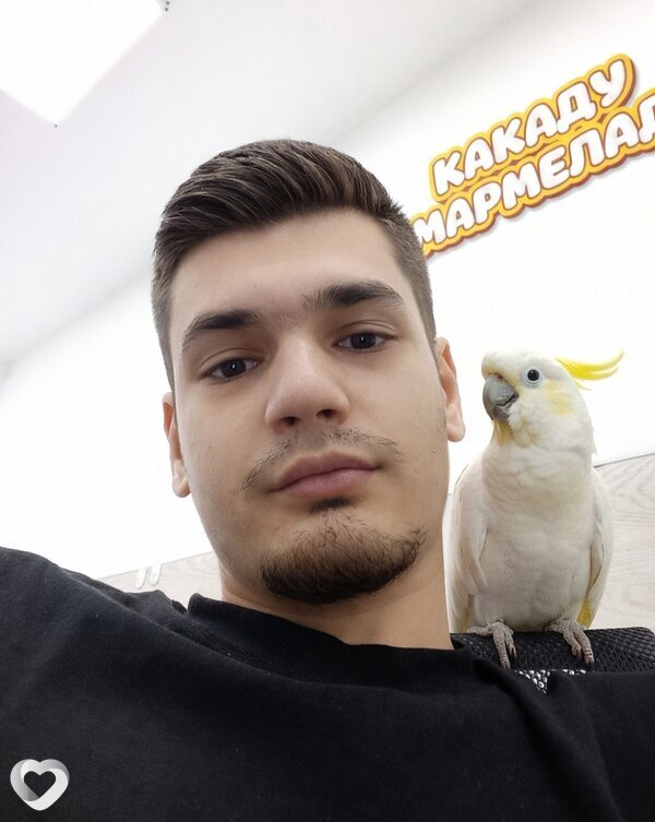Раймонд, 26, Набережных Челнах — анкета №4220292