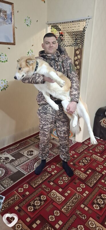 Даниил, 25, Городеце — анкета №4220966