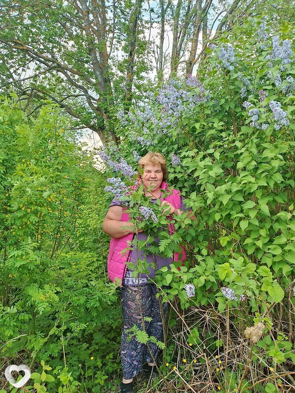 Анна, Няндома