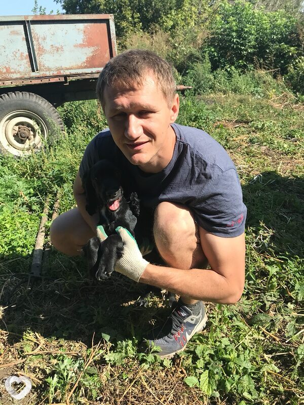 Сергей, 36, Курске — анкета №4227382