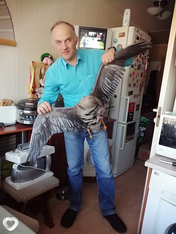 Влад, Приозерск