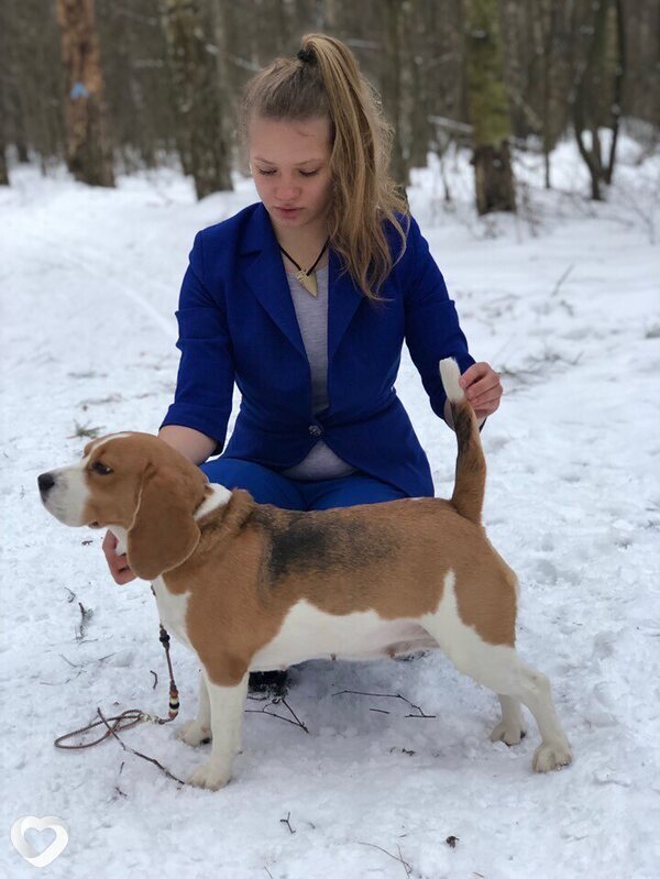 Алина, 38, Бердянске — анкета №4229575