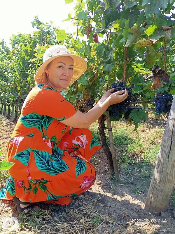 Лариса, 55, Новороссийске — анкета №4231803