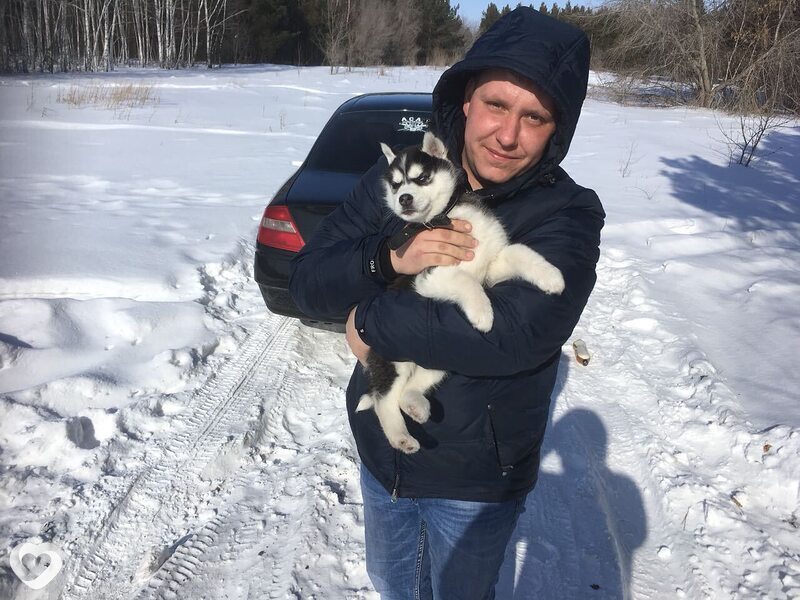 Андрей, 36, Новосибирске — анкета №4232295