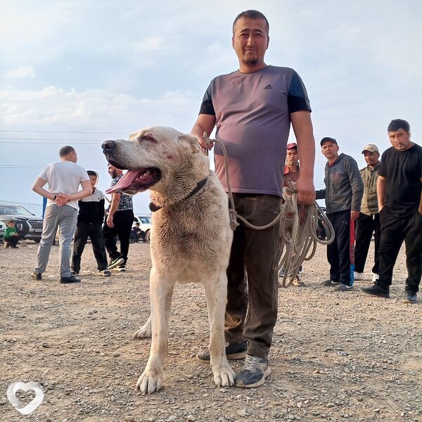 Шох, 28, Санкт-Петербурге — анкета №4238371