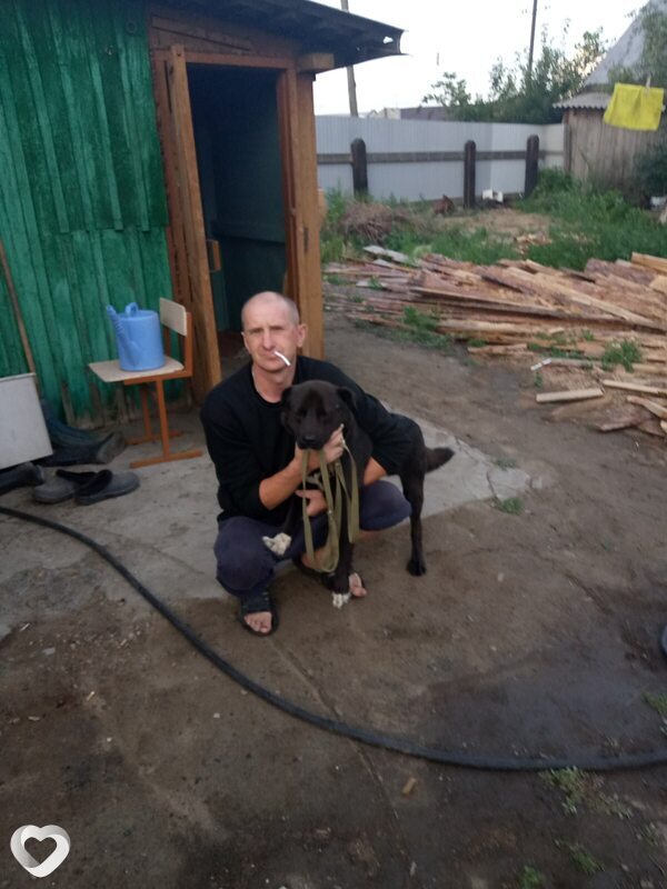 Михаил, 45, Усолье-Сибирское — анкета №4238861