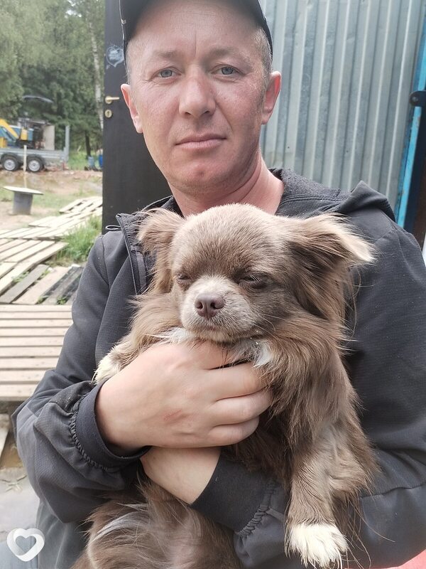 Владимир, 37, Могилев — анкета №4239325