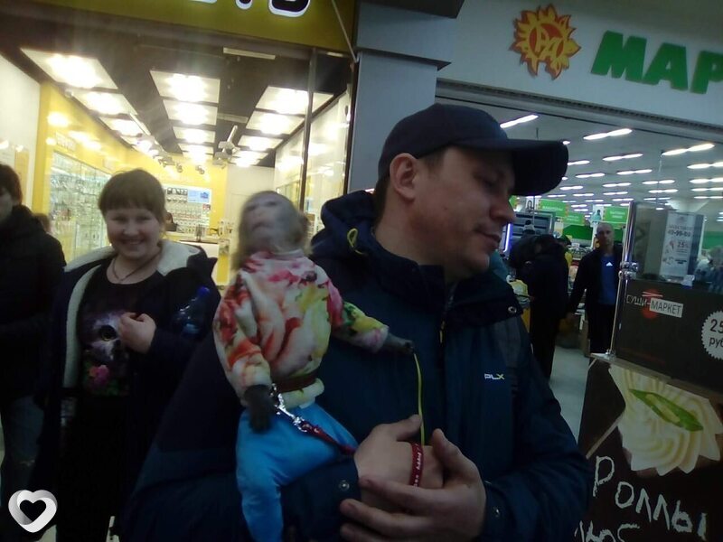 Вадим, 44, Кемерове — анкета №4239541
