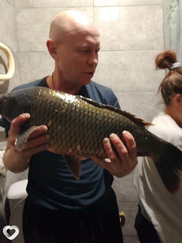 Сергей, 49, Магнитогорске — анкета №4246544