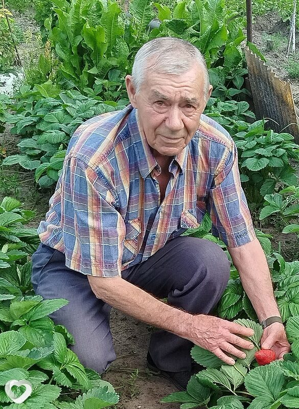 Михаил, Северодонецк