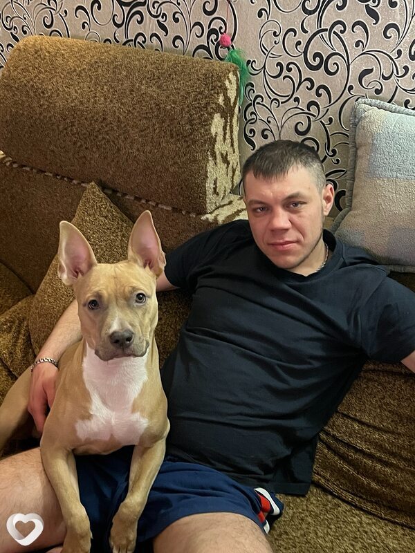 Николай, 33, Белгороде — анкета №4250874