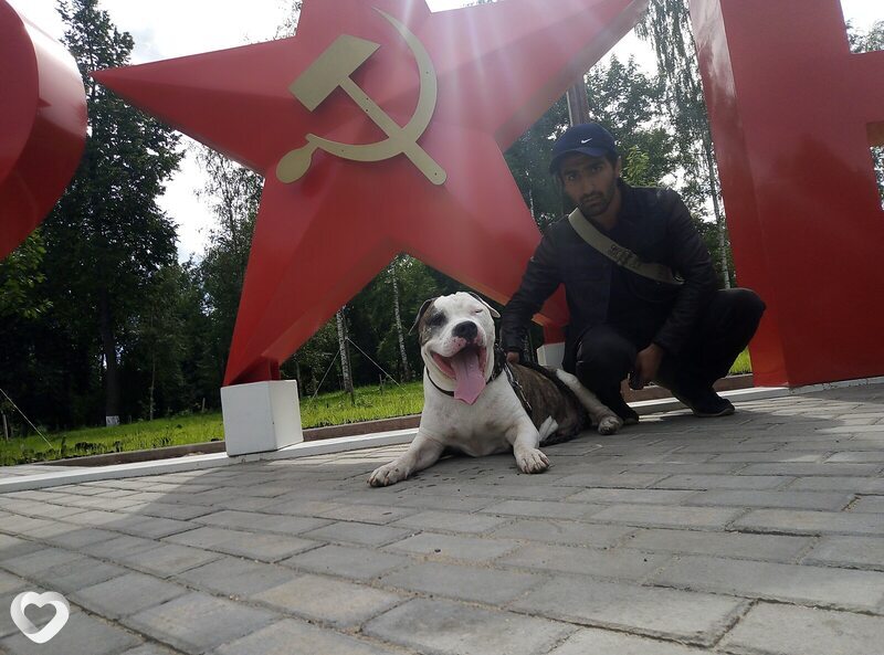 Томос, 34, Ржеве — анкета №4254645