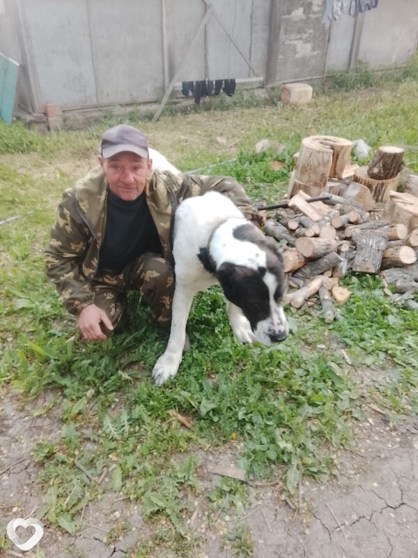 Вадим, 45, Шахтах — анкета №4259547