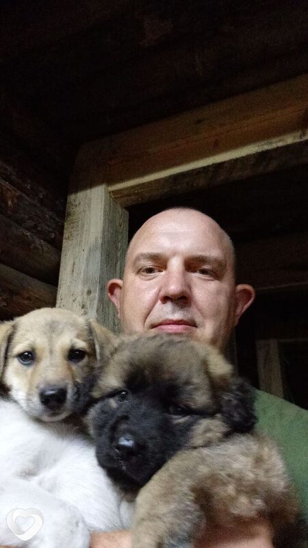 Андрей, 37, Тамбове — анкета №4260381
