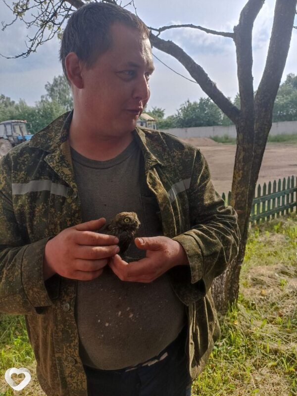 Виктор, 39, Шклове — анкета №4261660