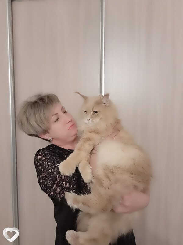 Наталья, 49, Тольятти — анкета №4263175