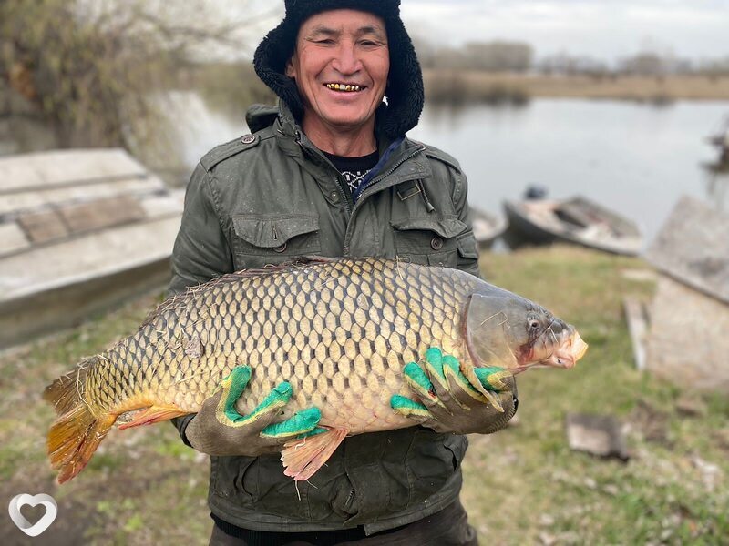 Аркадий, 61, Барнауле — анкета №4267763