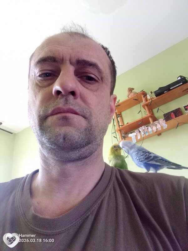 Дмитрий, Радом