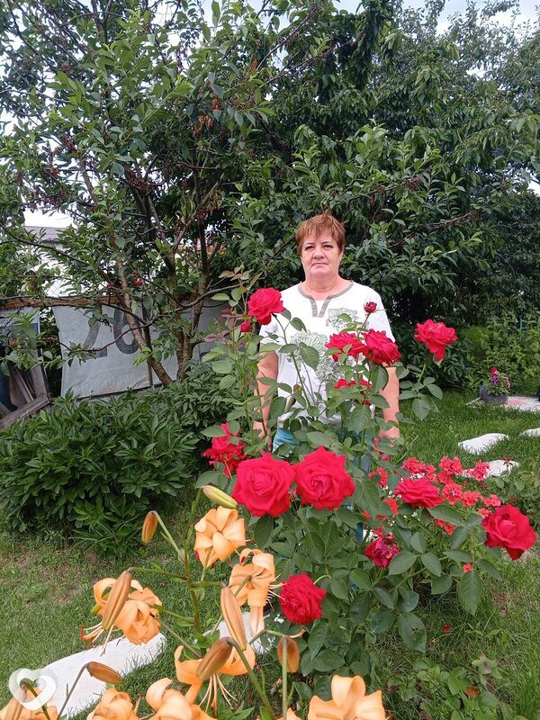 Люда, Лосино-Петровский
