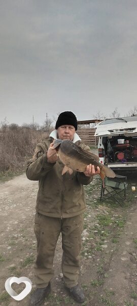 Владимир, Рославль