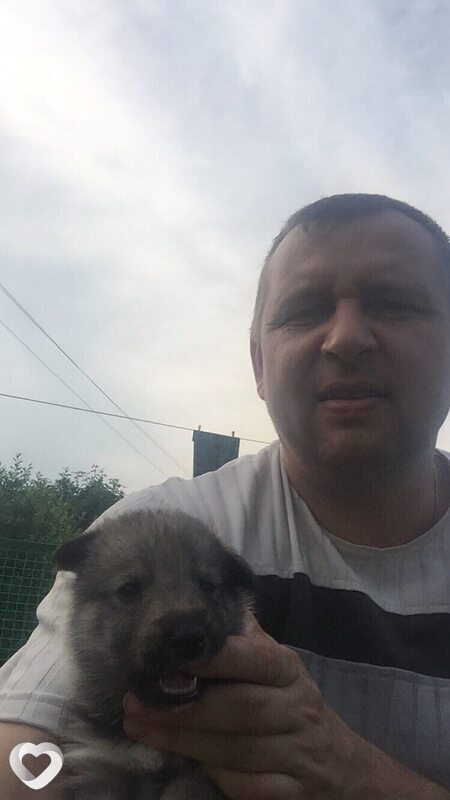 Владимир, Бахчисарай