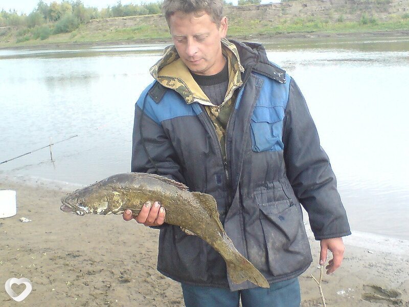Владимир, 51, Тюмени — анкета №4276866