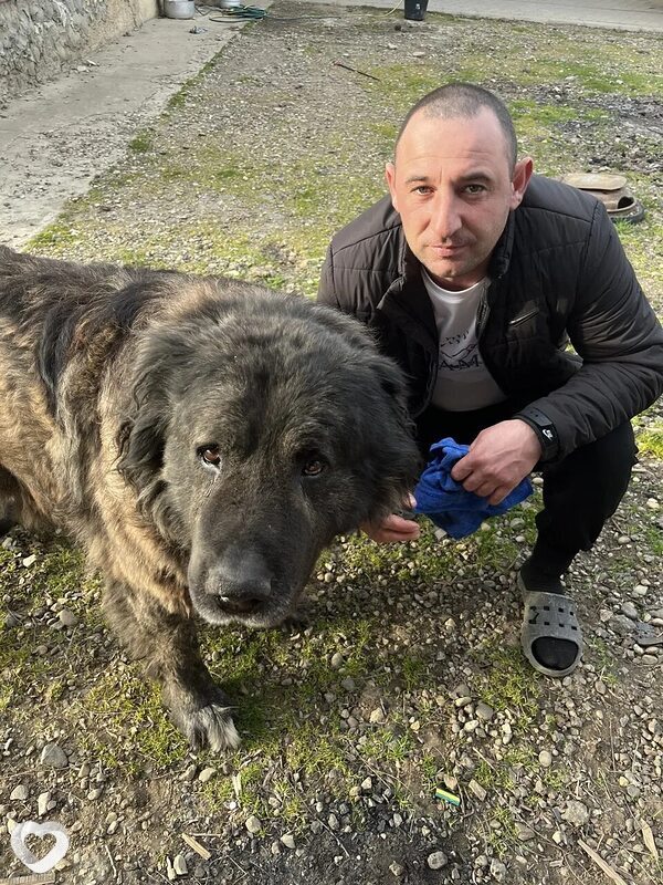 Макс, 37, Тимашевске — анкета №4277157