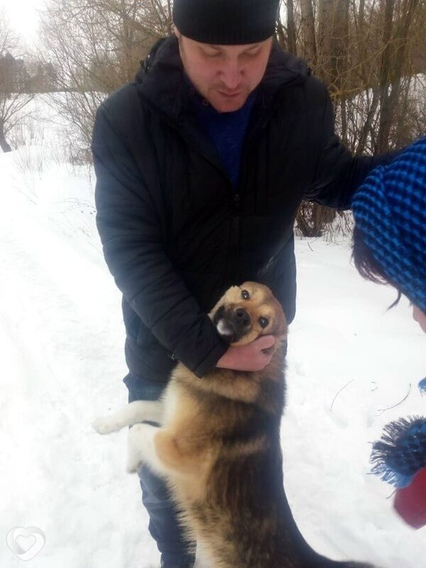 Михаил, 41, Брянске — анкета №4277414
