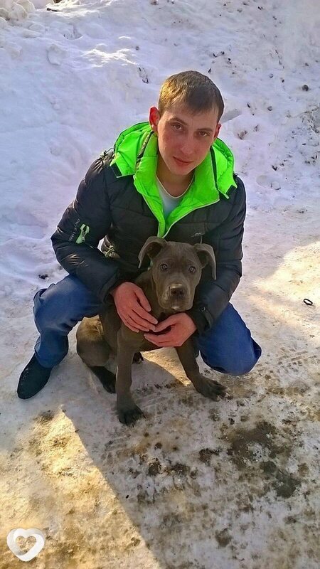 Дмитрий, 37, Стерлитамаке — анкета №4283110
