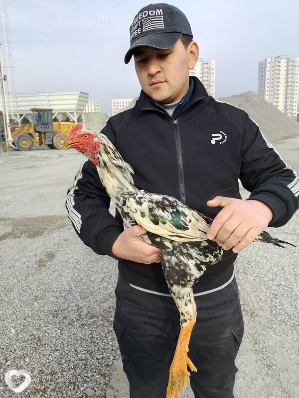 Эдик, 28, Алматы — анкета №4284736