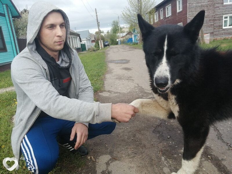 Иван, 35, Бронницах — анкета №4291732