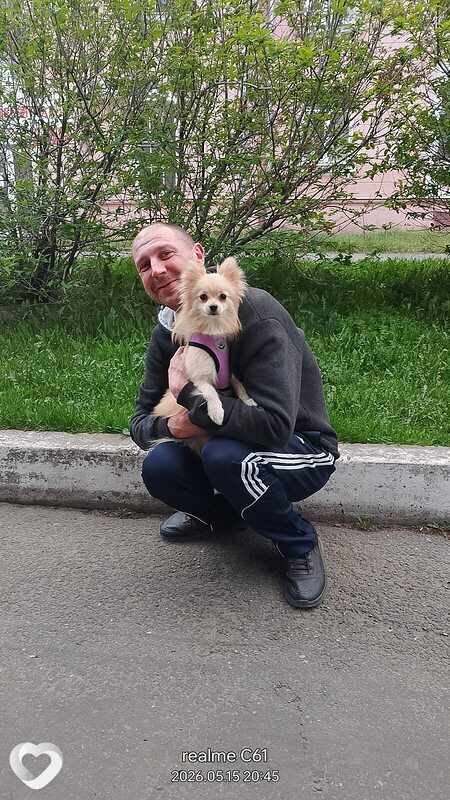 Сергей, 36, Нижнем Тагиле — анкета №4295251