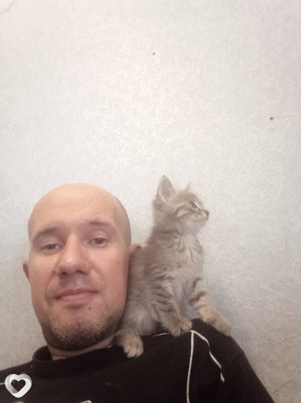 Антон, 40, Нижнекамске — анкета №4295962