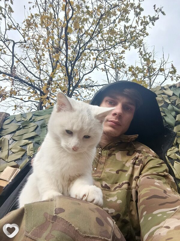 Иван, 24, Костроме — анкета №4304328