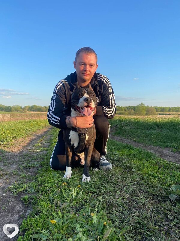 Алексей, 33, Владимире — анкета №4306851
