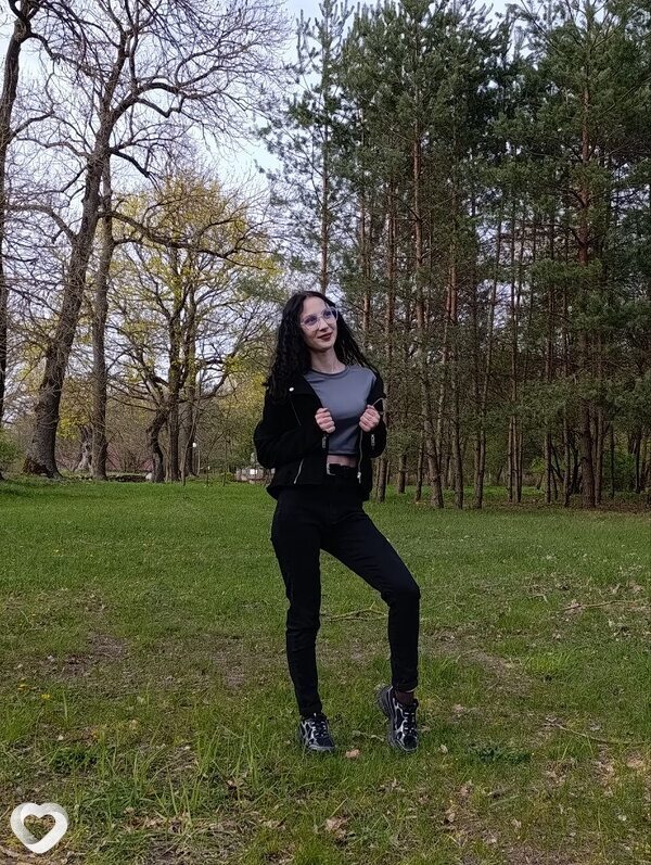 Вика, Мосты