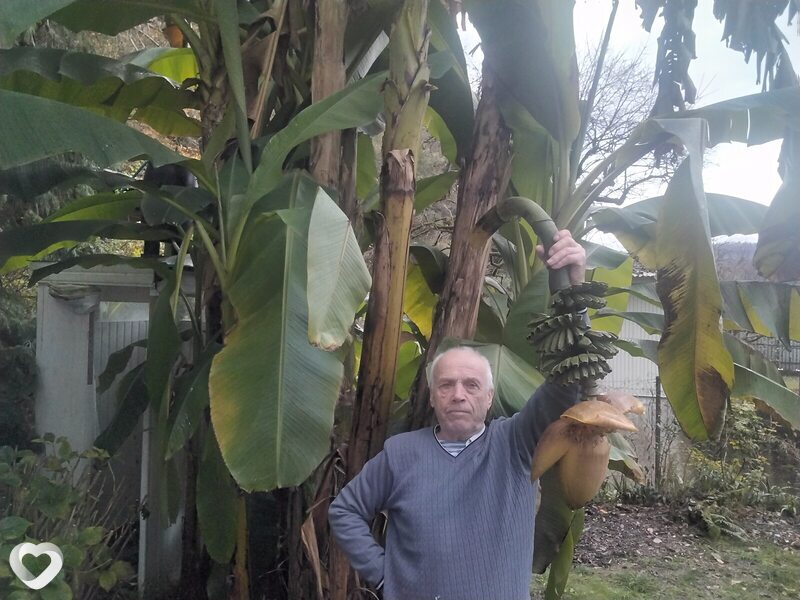 Михаил, 68, Сочи — анкета №4325559