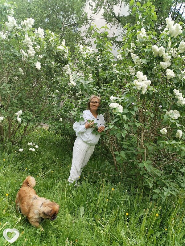 Дарья, 60, Москве — анкета №4329626