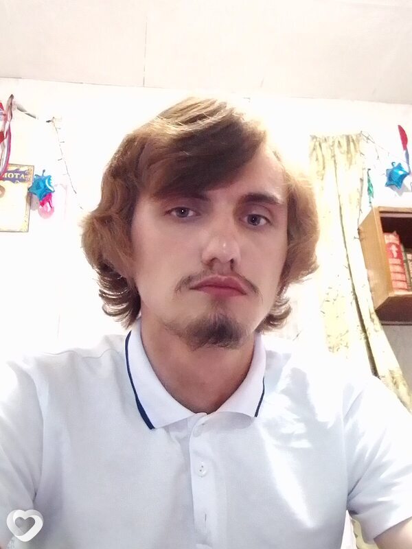 Дмитрий, Боровичи