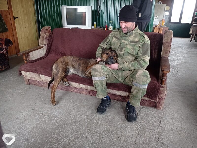Таймураз, 30, Владикавказе — анкета №4340459