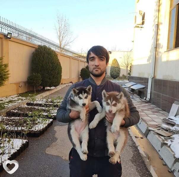 Диловар, 34, Санкт-Петербурге — анкета №4343292