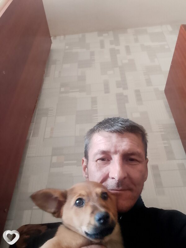 Санек, Великий Новгород