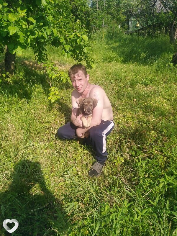 Михаил, 43, Камышине — анкета №4343212