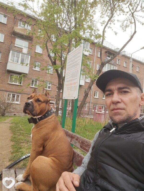 Роман, Тайшет