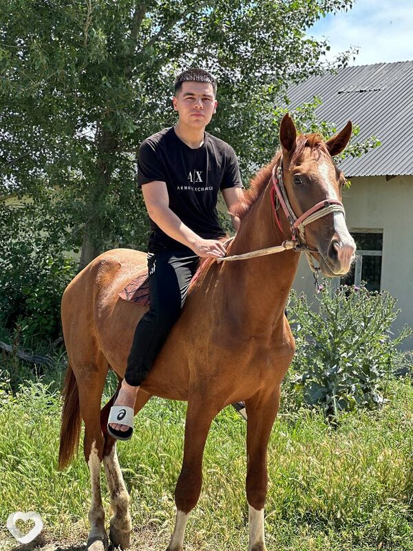 Sanchoo, 24, Шымкенте — анкета №4345992